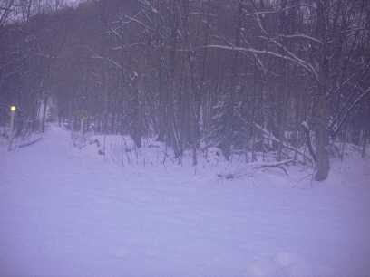 head of the valley - former Long Trail crosses to left on bridge. Getting too dark for photos.