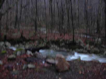 Stream running into Bolles Brook from the East